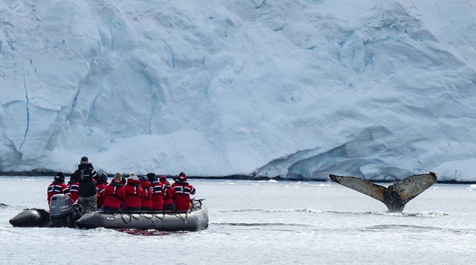 zodiac-cruising-antarctica9