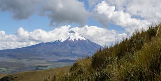 Cotopaxi Extension Day 1 - Quito to Cotopaxi