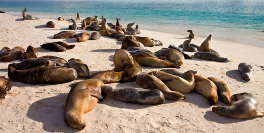Gardner Bay & Suarez Point