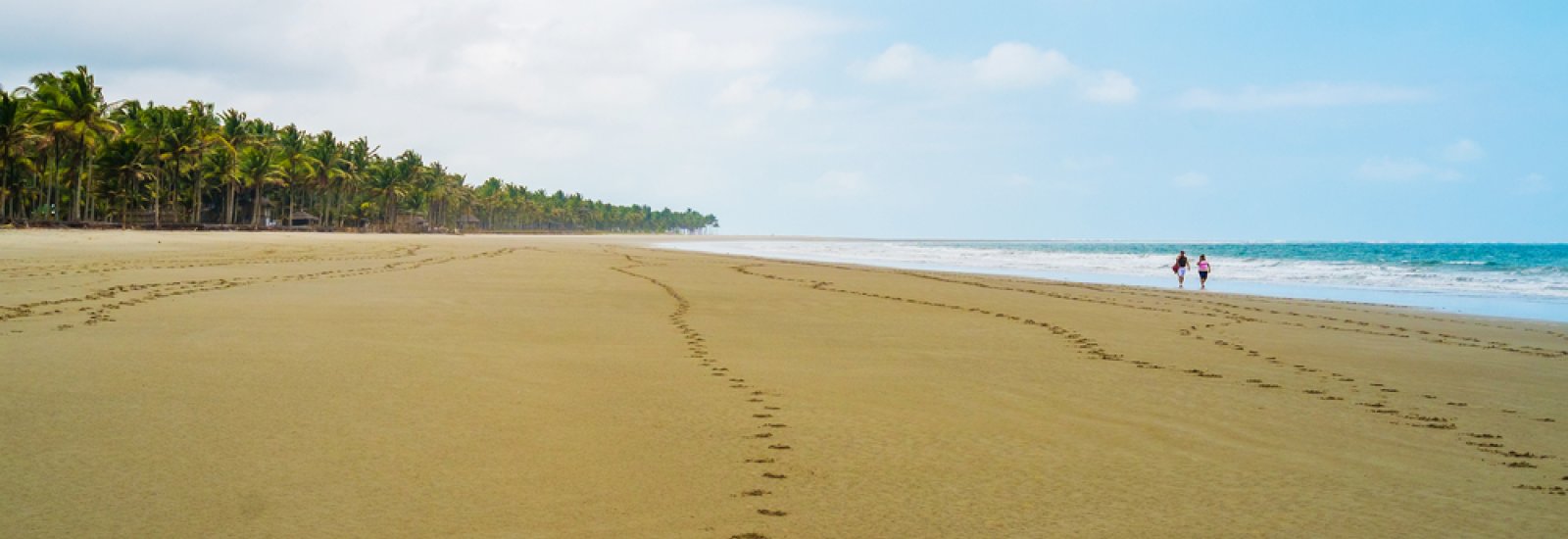 shutterstock_371844748