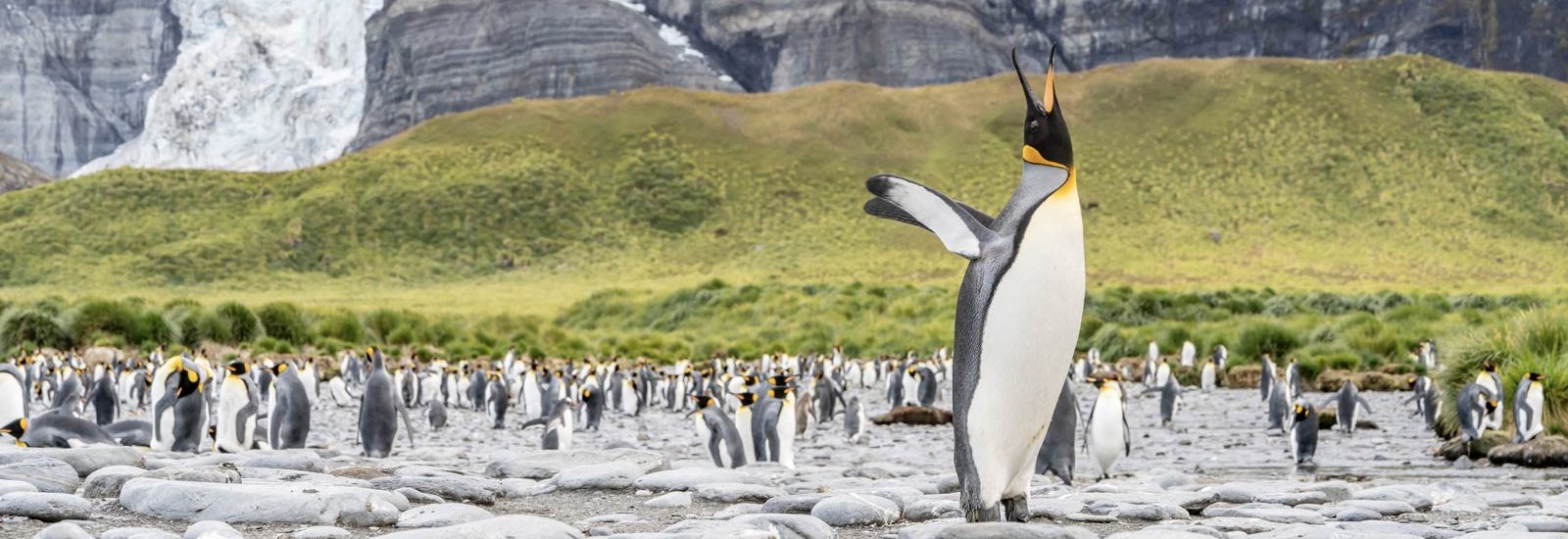 Journey to Austral Lands 2027 | Le Lyrial