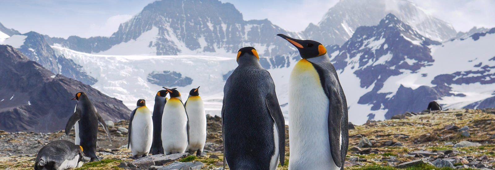 Antarctica Complete: Christmas and New Year | Douglas Mawson