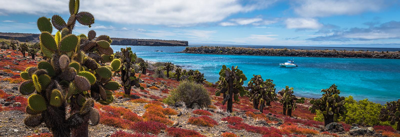 Galapagos 5 Day Cruise | Galaxy Yacht