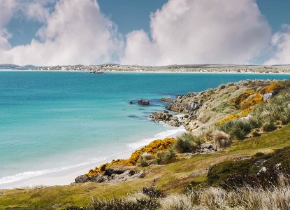 grassy peninsula to sandy beach of Falkland Islands) 