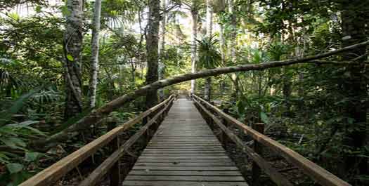 Tambopata Activities Day 3