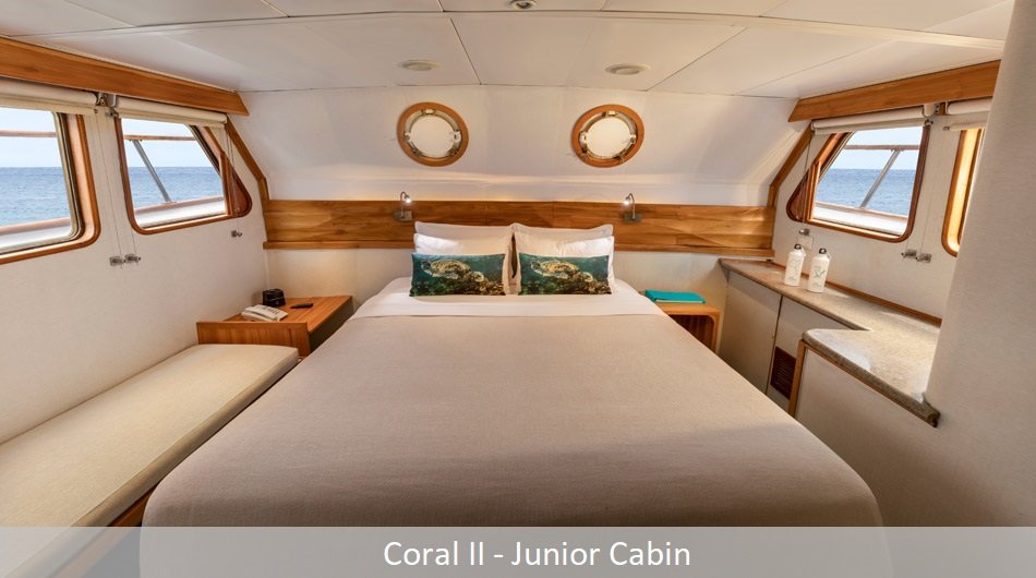 coral2Junior_0