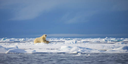 Sailing ice floes along Greenland