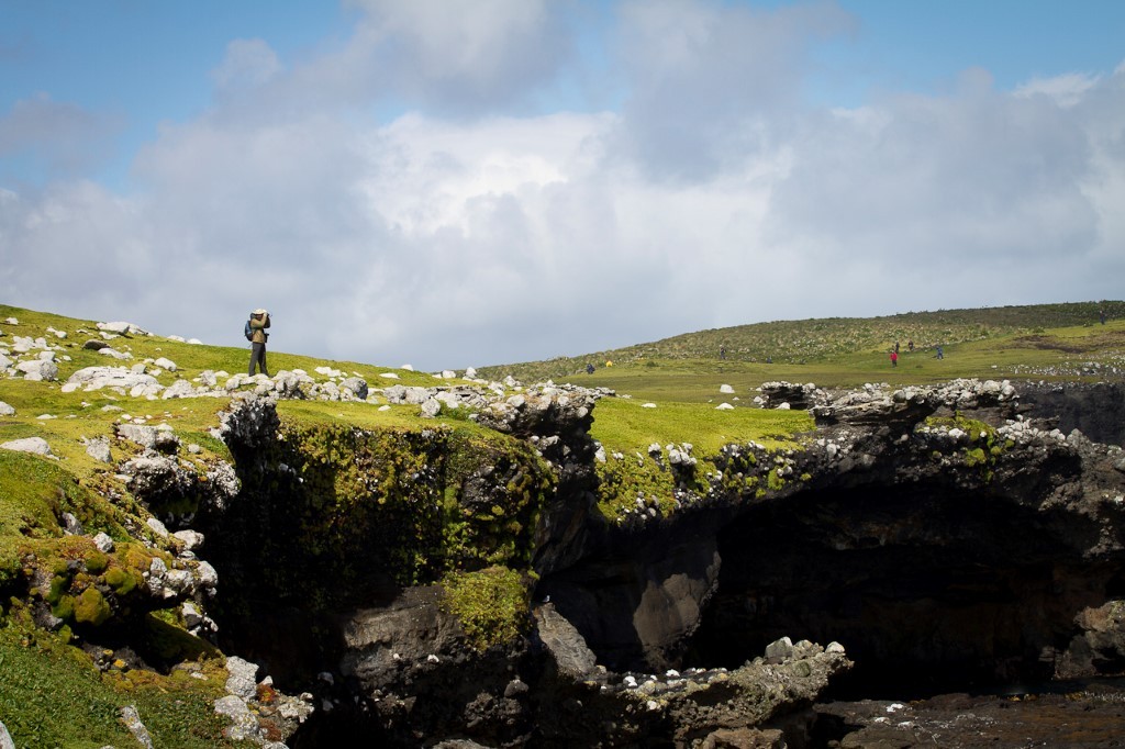 (c)_mkelly_galapagos_of_the_southern_ocean_16_(custom) 