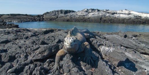 Espinosa Point & Vicente Roca Point