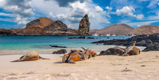 Bartolme Island & Bowditch Point