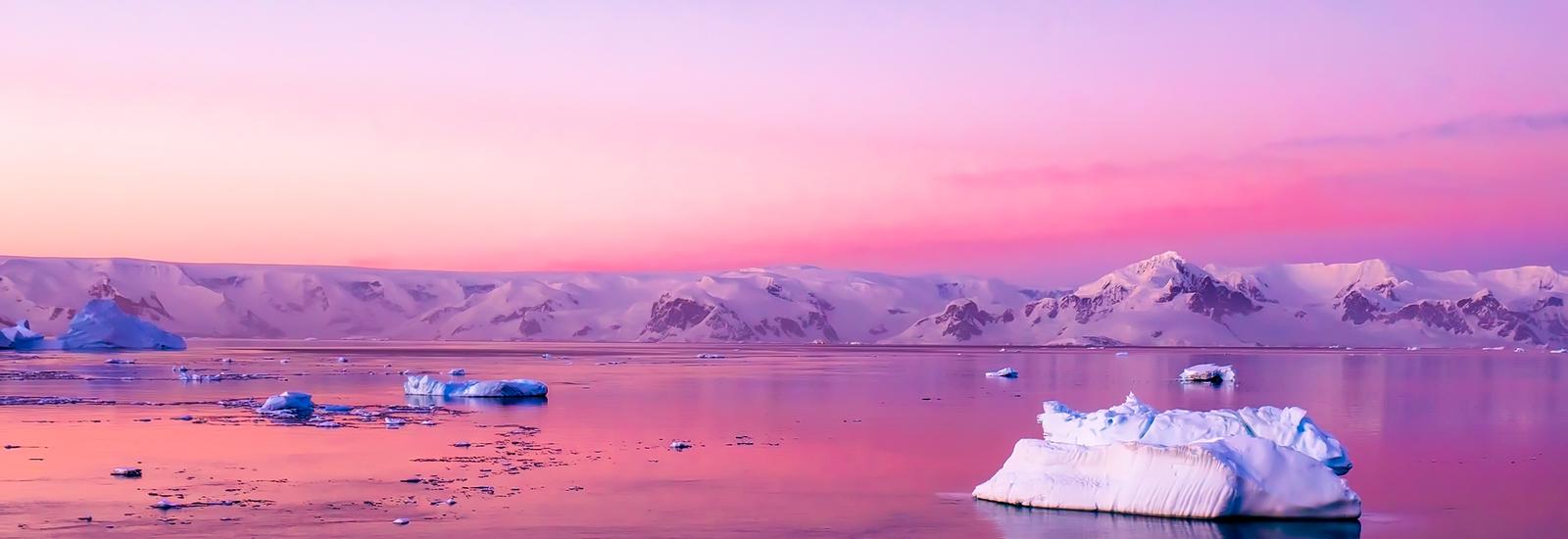 Wild Antarctica: Punta Arenas to Ushuaia | Sylvia Earle