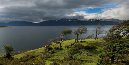 Arrive Errante Ecolodge