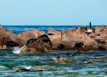 Galapagos Islands landscapes) 