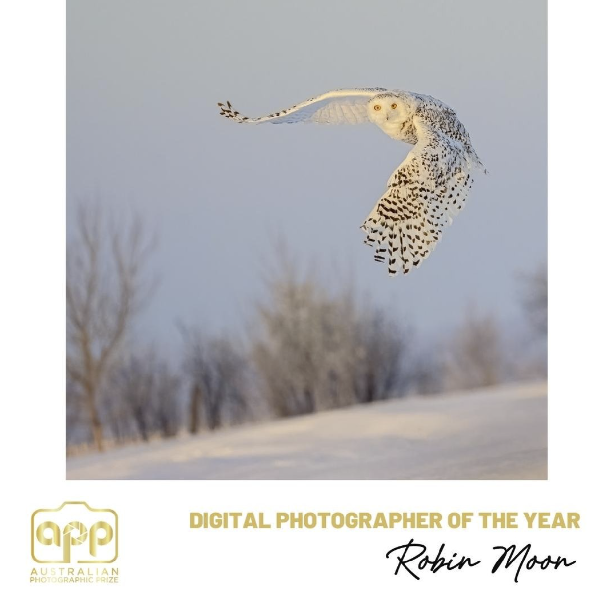app photographer of the year 