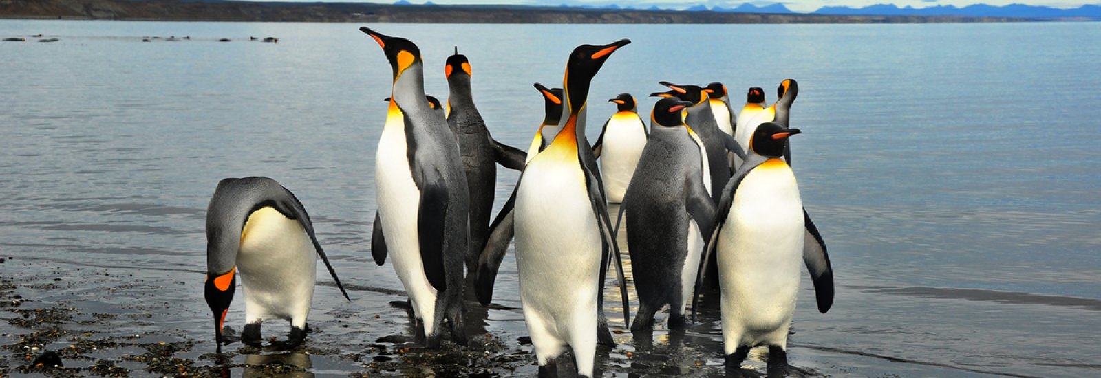 shutterstock_263957561