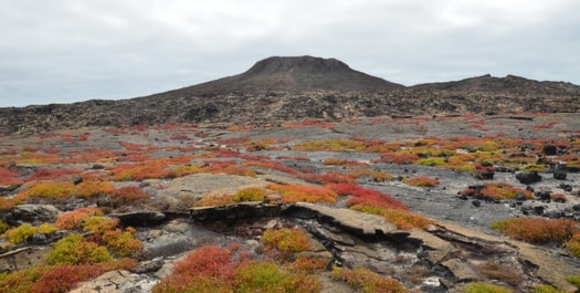 Chinese Hat & Borrero Bay