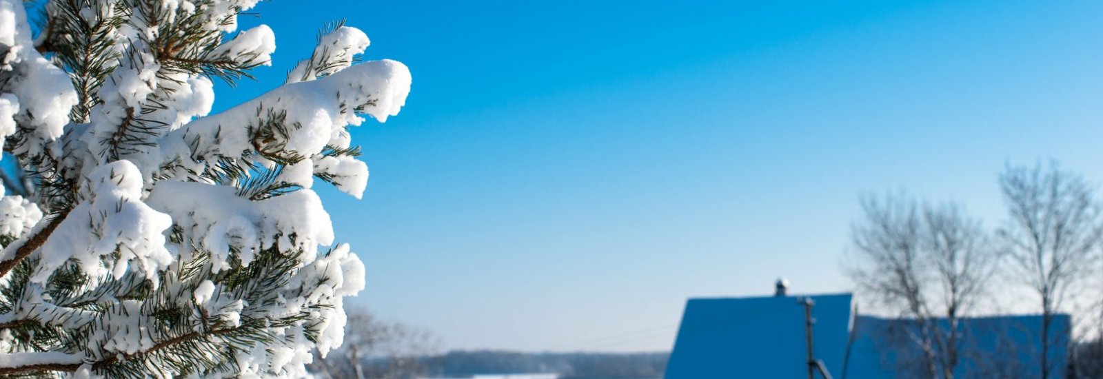 shutterstock_783713665-1623x1080