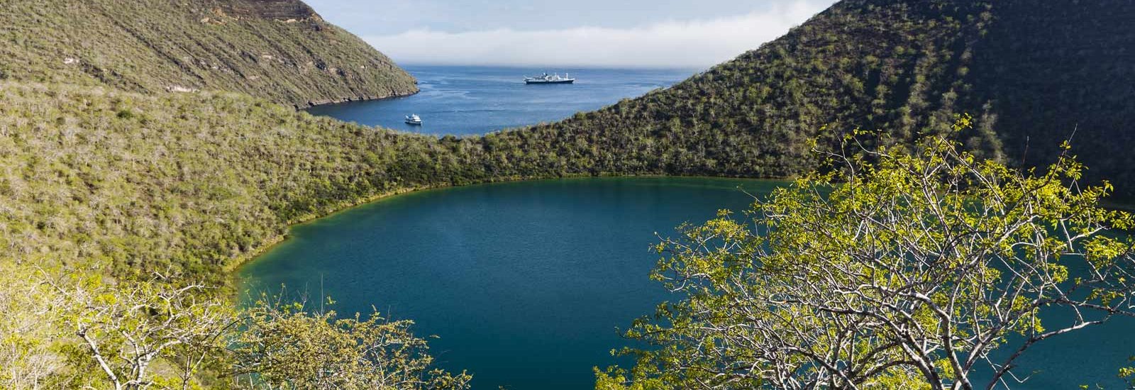 Western Islands Galapagos Cruise | Alya