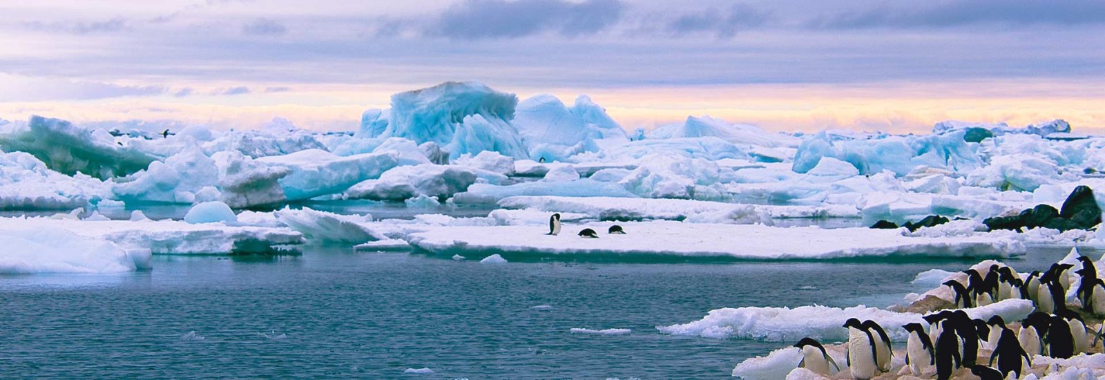 Complete Antarctica: Sail In, Fly Out | Ocean Nova