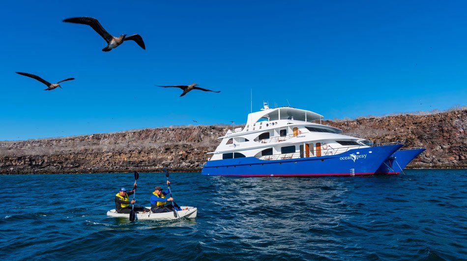Ocean Spray Galapagos Cruise Ship - Kayaking infront of the ship 