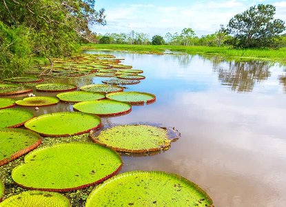 Peru-Amazon