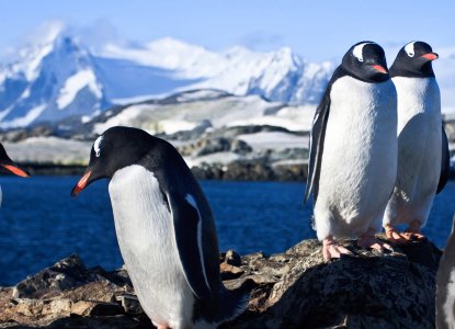  Antarctica-hero-150k 