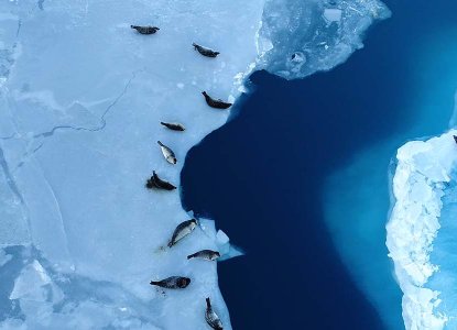  Aerial%20Seal%20View 