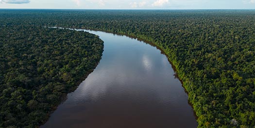 Disembark in Iquitos