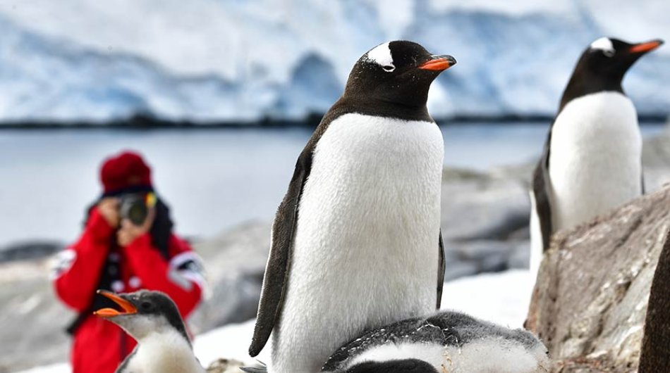 shore-excursions-antarctica2