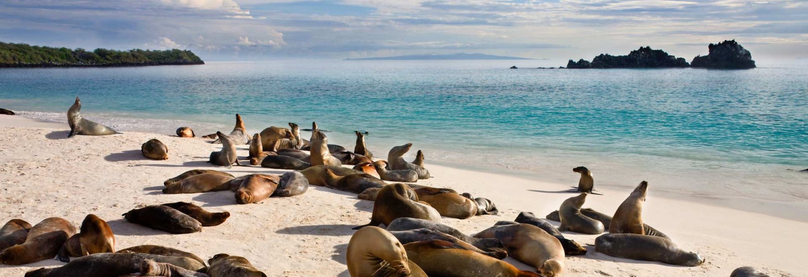 South Eastern Galapagos Islands Cruise A - 2026 | EcoGalaxy
