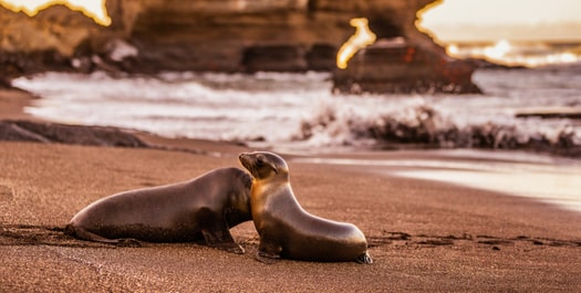 Egas Port & Bartholomew Island