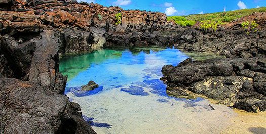 El Barranco & Darwin Bay