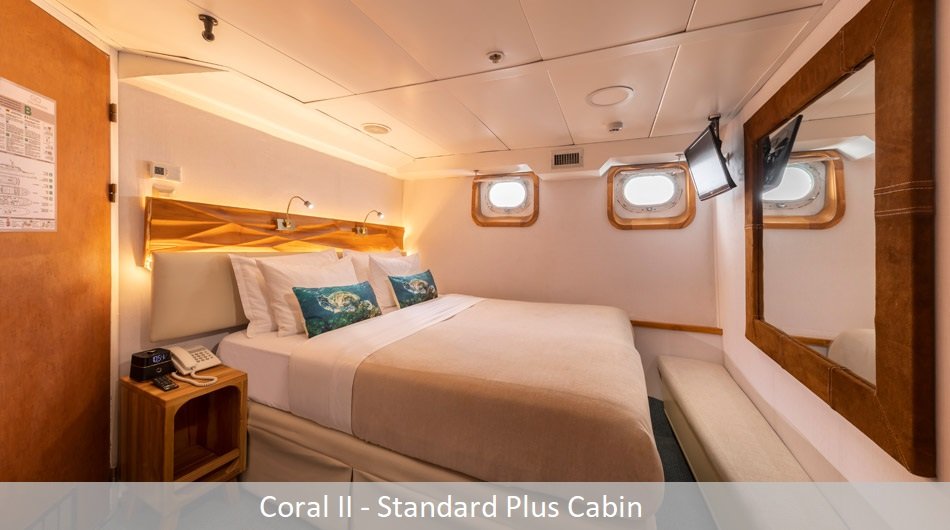 Coral2Standardplus_0