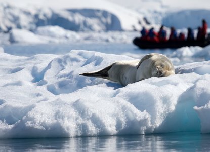  DISCOVER_ANTARCTICA_950X530 