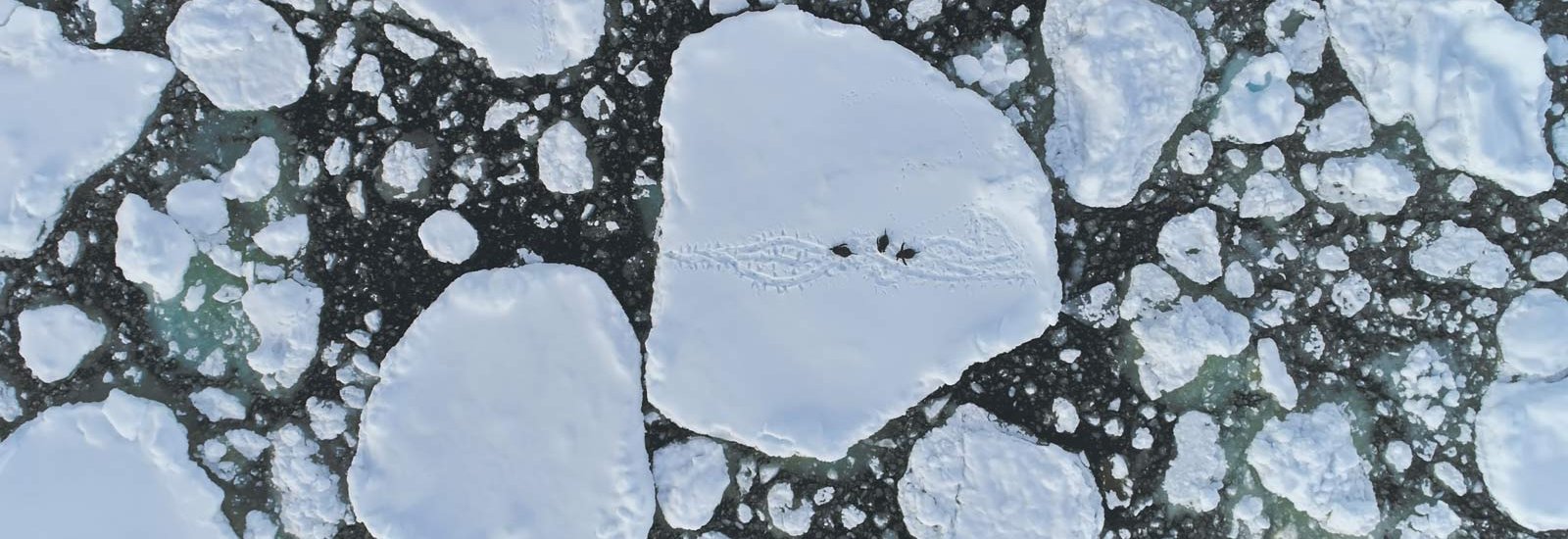 Antarctic Peninsula: Crossing the Circle | World Voyager