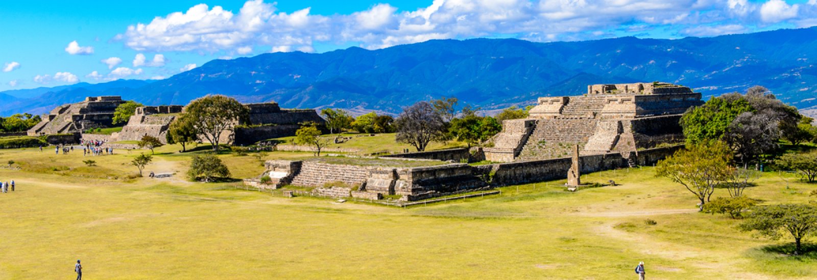 shutterstock_515742607