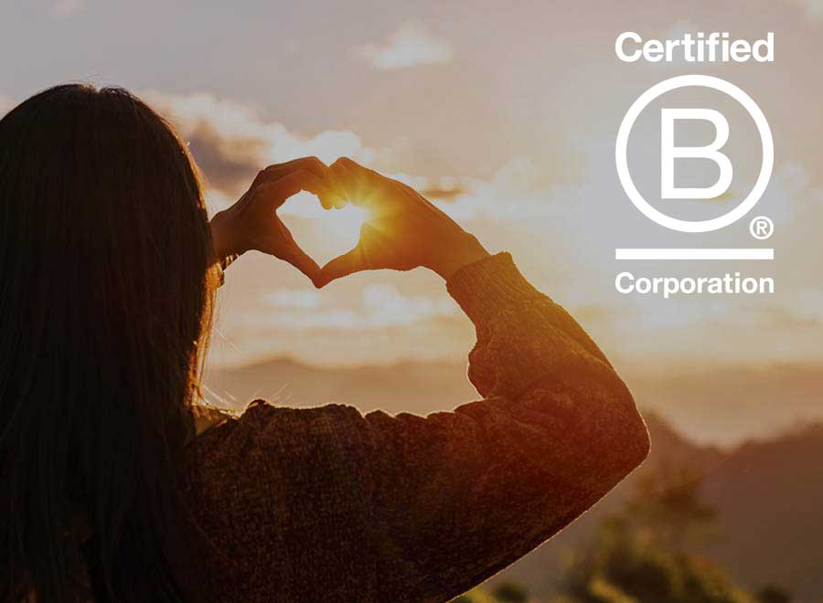 Image of a forest representing Chimu Adventure's Sustainability and Responsible travel guidelines  