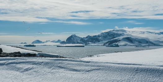 Antarctic Peninsula - Day 4 to 10