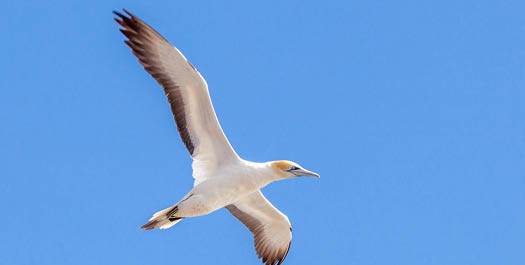 At Sea - Day 16 & 17