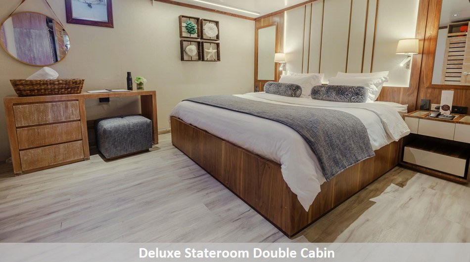 Evolution Galapagos Cruise Ship - Double Deluxe Stateroom