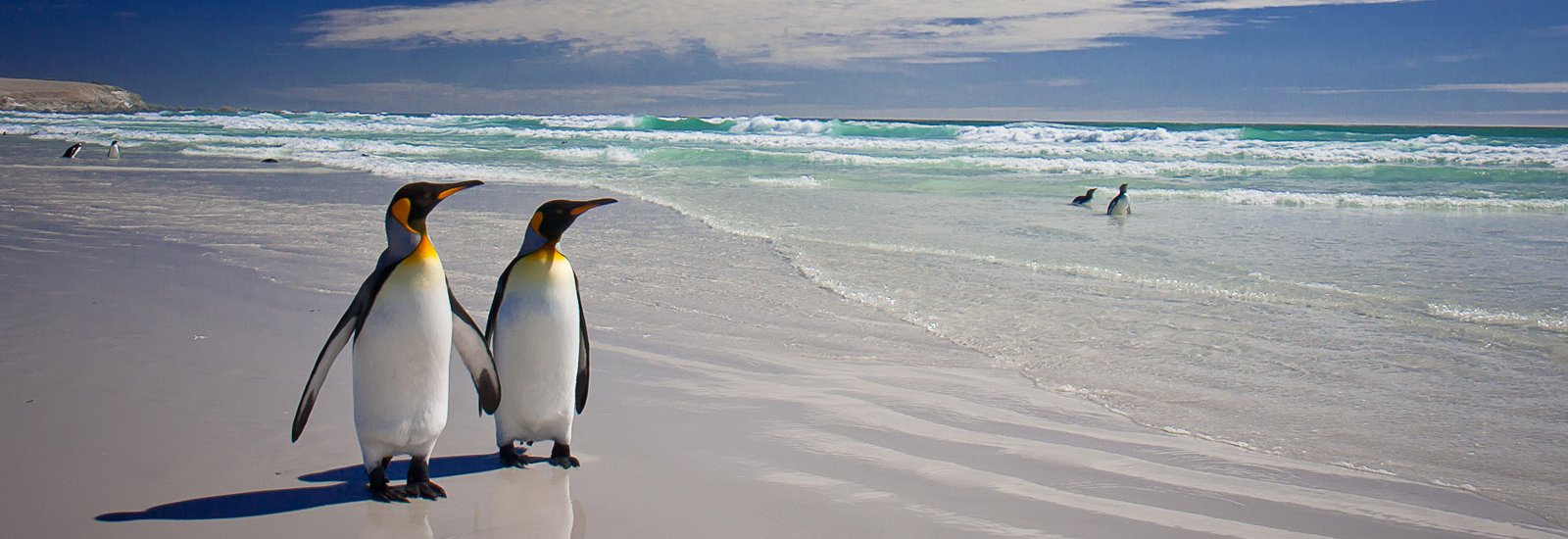 Journey to Austral Lands 2026 | Le Lyrial