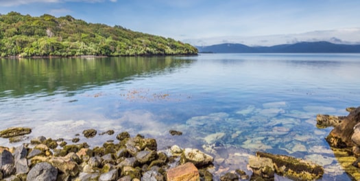 Disembark in Bluff and transfer to the airport