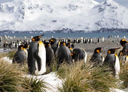 antarctica special deals