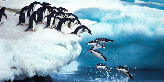 Antarctica - Day 6 to 8