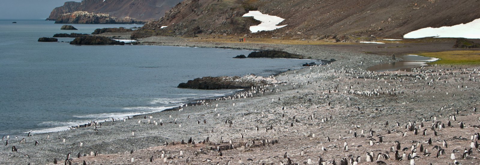 Shetlandshutterstock_125939516