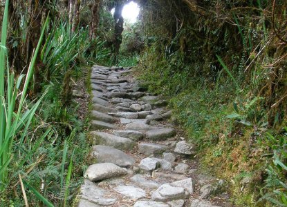  Inca%20Trail%20%282%29 
