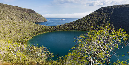 Tangus Cove & Vicente Roca Point