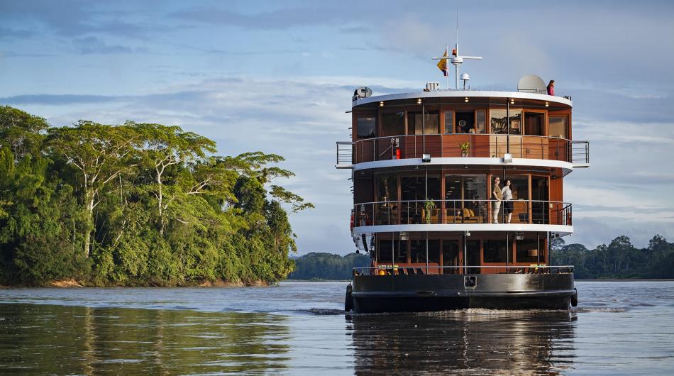 Manatee Amazon River