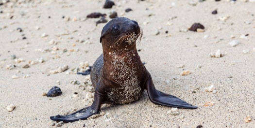 San Cristobal Island & Airport Departure