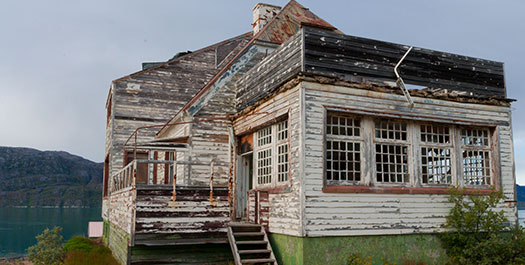 Ivittuut: Norse History and Muskoxen